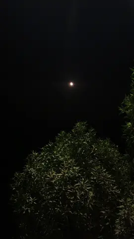 سفر کی تھکن کہوں یا دِل کی ویرانی  کیسے کہوں کہ میرا دل نہیں لگتا اب