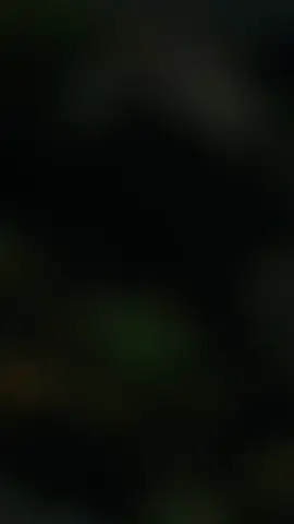 Tôi gói thư tình gửi sóng trôi xa#xuhuong #nhacsuymoingay #nhacsuy #nhactamtrang #nhacbuon #nhactamtrangbuon #nhachaymoingay #nhacchill #CapCut 