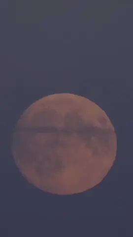 Selasa Tanggal Cantik 11•11•2025 #quotestory #reminder #story #quotesislami #quottesestetik #quotesindonesia #muhammadagil28 #quotesharian #fyp #foryoupage #4u #xybca #masukberanda #moots? #algoritmotiktok #funny #statusvideo #katakata #doa #bismilah #hariini #sw #alhamdulillah  #islami #muslim #motivasi #islam #quran #hijrah #sky #allah #storytime #viraltiktok #video #2025 #quoteshariini #quotesharian #quotes #islamic #pesanhariini #ststus #statusharianku #temple #trending #trendsound #ayush543 #PlayWithOreoBlackpinkID #ABCKreasi Krezi #motivasihidup #bersyukur #bahagia #nasehat #promosi #beranda #teruslah #doaku #bijak #History #hijrah #cute #art #capcutvelocity #doaku #akhir #berkah #doa #doahariini #sad #dance #duo #banyakrezeki #agro #Love #loveyou #madina #yaallah #tayangan #jamaicatiktok #100kview #like  #islam #kemarin #hariini #esok #trend #jalurlangit #bismillah #status #harian #islamic_video #bismillahfyp #promoseruweekend #nasehatislami #qlms #islamic #pemandangan #statusharian #kalender2025 #reminder #nasehatislami #reminderislamic✨ #statusharian #selasaberkah #selasa #11november #ketikan #stroy #tanggalcantik 