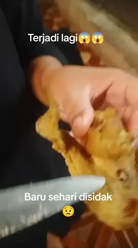 sebuah video ibu ibu spill sepotong daging ayam ada jejak diduga belatung di dalam tulang... simak videonya dari SPPG mana...kalau gak salah SPPG yang baru sehari disidak....#bgn 