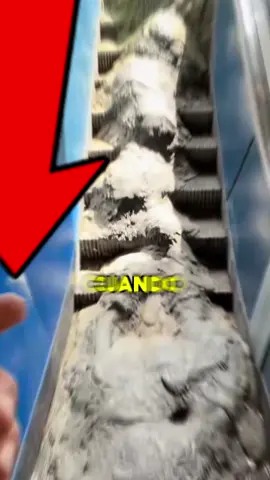 las ESCALERAS MÁS RARAS del MUNDO son SORPRENDENTES🤯🤫 #shorts  #curiosidades  #wow  #divertido#humor 