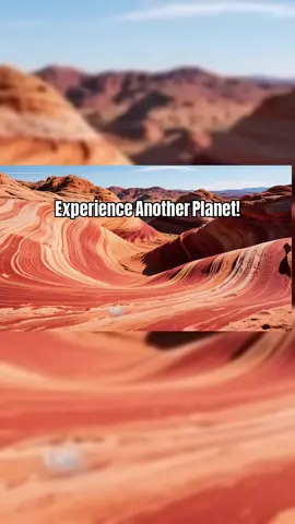 Join us as we explore the breathtaking Wave in Arizona, a stunning sandstone formation that looks like a giant frozen wave. Getting a permit is tough, but the experience is unforgettable!#Explore #Travel #Nature #Arizona #BeautifulDestinations