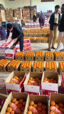 For order please dial zero three hundred four eight four two three nine eight  #foryou #citrusorchard #exportquality #kinoo 