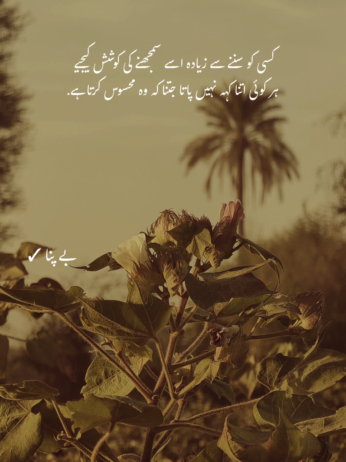 Deep words ❤️‍🩹 #1millionaudition #asthetic #poetrystatus #foryou #fypp 