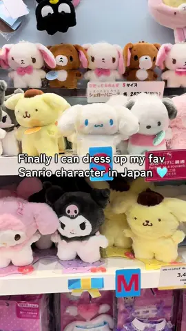 Cinnamoroll can be both a baby and a princess  #cinnamoroll #sanrio #pompompurin #hellokitty #kuromi 