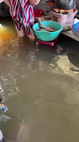 đám giỗ 1 năm mới có 1 năm mà nước cỡ này 😆