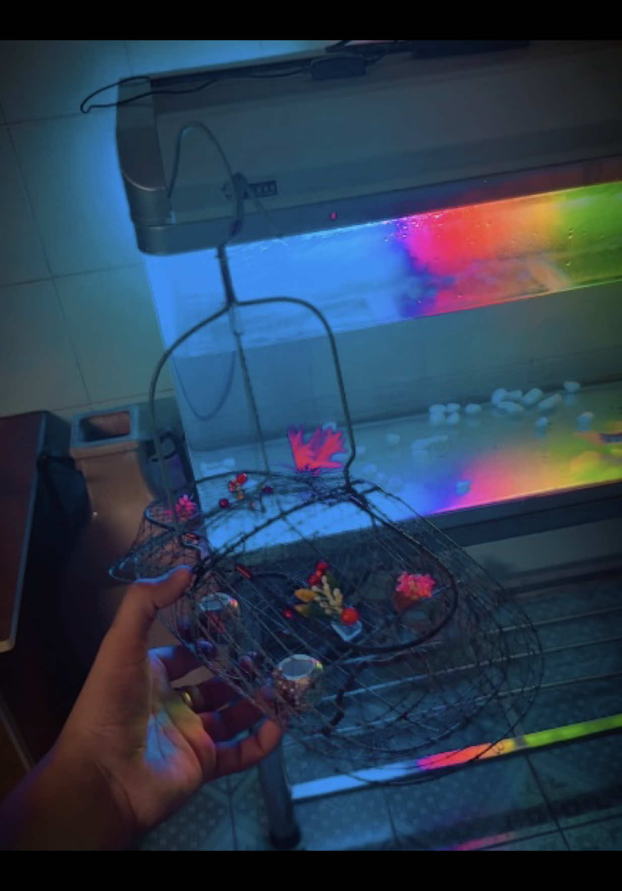 Lụp (PVC) full thép xanh💯👆#lụpthủbẫyđấu #lụp_bẫy_hút_mật #ocmitmoi #xuhuong #binhduong 