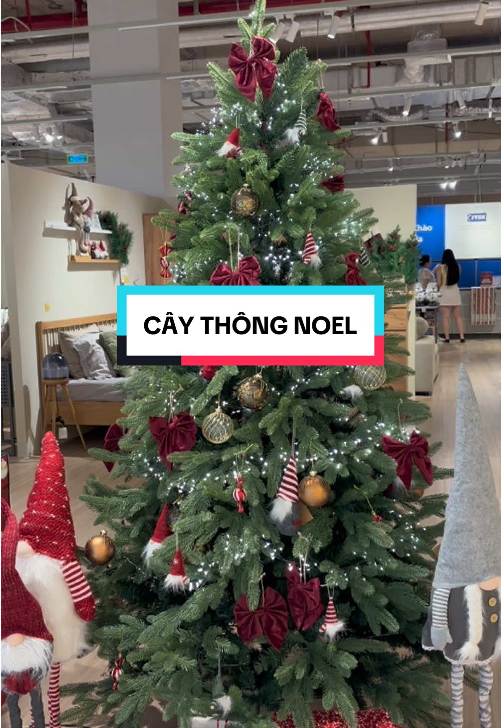 Cây thông noel - không cần chở chi cho nắng - nặng - tốn xăng, mua liền trên tiktokshop freeship luôn đã đời 😆 #beuthichreview #caythongnoel #giangsinh #caygiangsinh #caythongnoel2025 