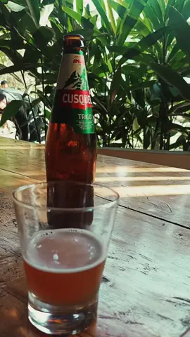 🍻🔥#novalelapena #paratii #fypシ゚viral