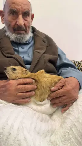 #CapCut #ابها_عسير #تصويري📷 #جدي مبسوط جداً جعني فداه 😂😩🤍🤍. 