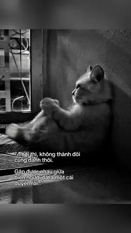 #xuhuong #viral #bannhacbuonbb #buon_tam_trang #xu 