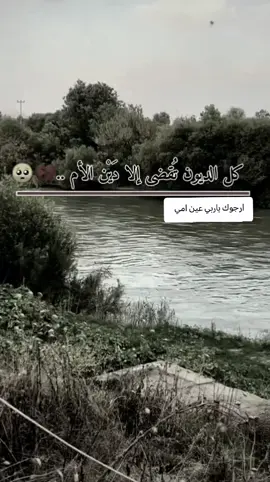 #ابو_سمره_الجبوري #تابعوني_فضلا❤ #الغربيه_واهل_الغربيه 