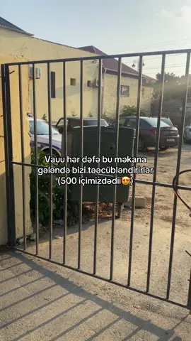 😂😂#hövsan  #vuqarbileceriofficial #fyp 