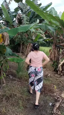 mau ke pondok kebun 