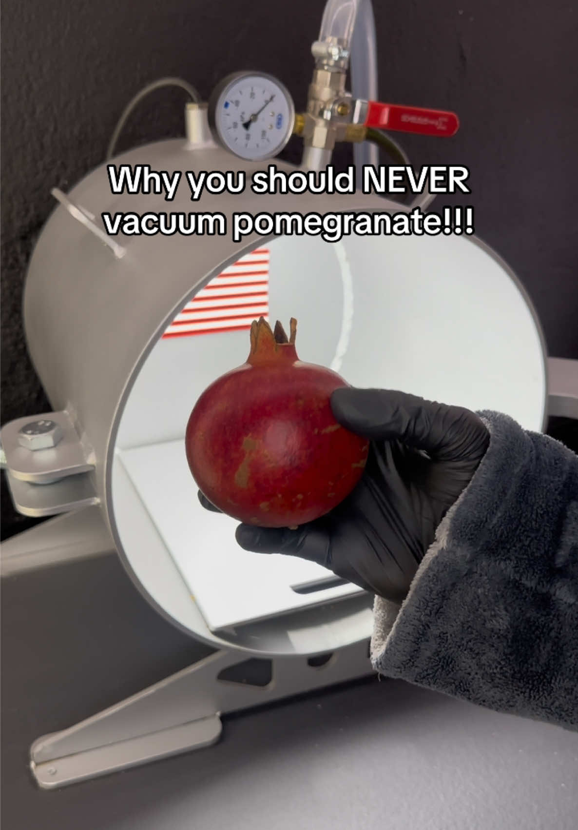 Vacuum VS Pomegranate… What’s next??? #experiment #usa #fyp #creatorsearchinsights 