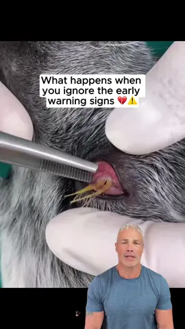 #petdog #doghealthtips #dogowner #pethealthtips #petdog