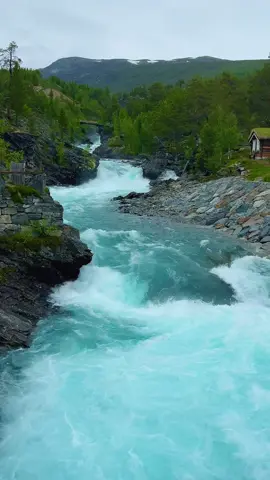 #النرويج #norway #اكسبلور #قرآن_كريم #lom 