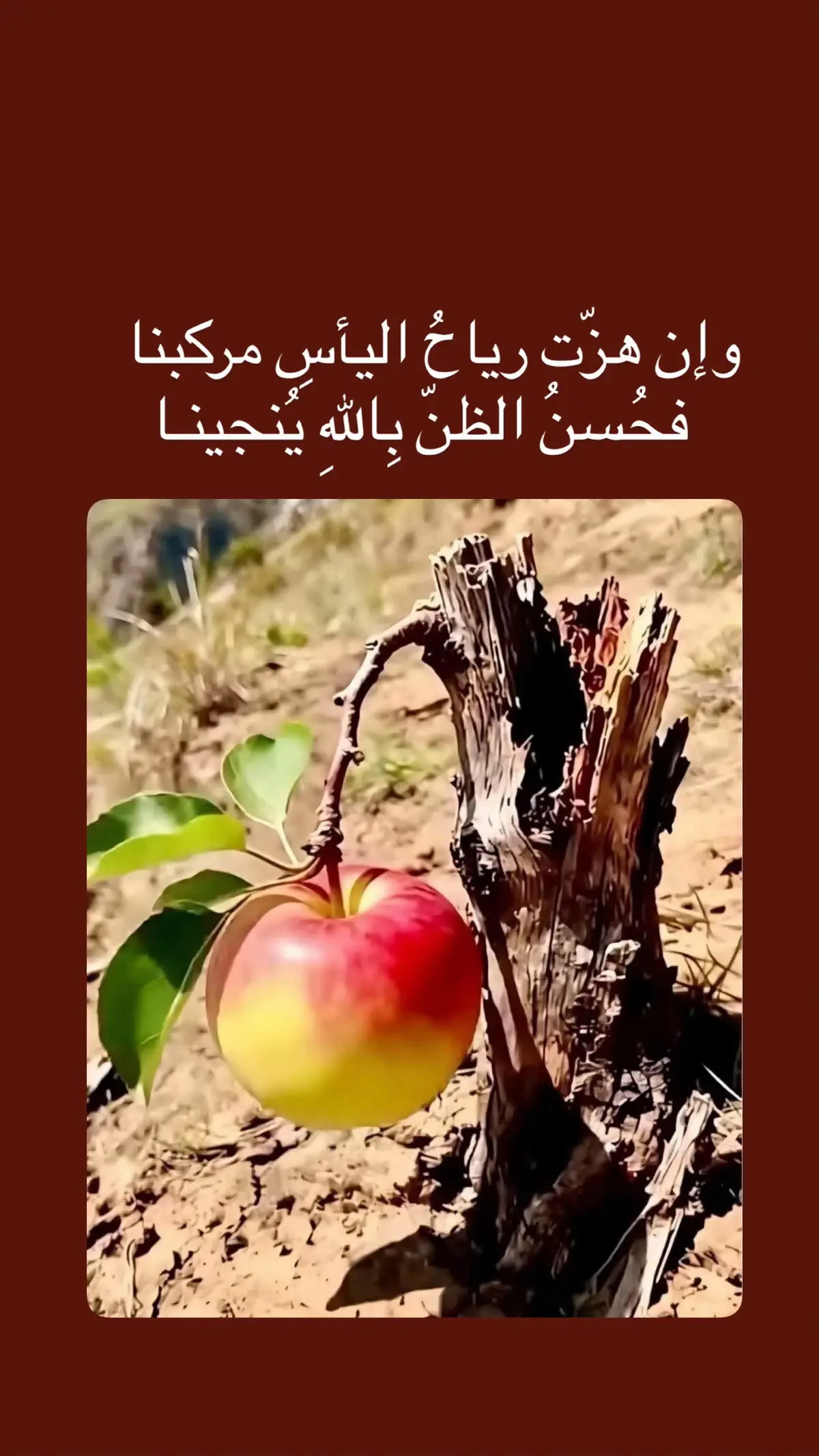 #متابعة_قلب_تعليق_مشاركة_اكسبلورررر 