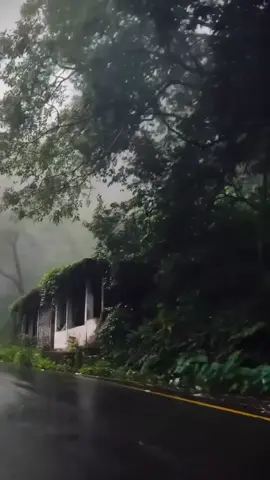 Tamil song outdoors #longtraveltamilsong #tamilsongrain #tamilstatussong #rainwithtamilsong #naturevibes