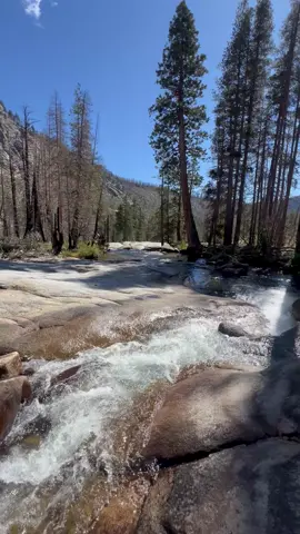 Good morning, world! 🌍 #goodmorning #mountainhike #californianature #riversounds #hikingviews 