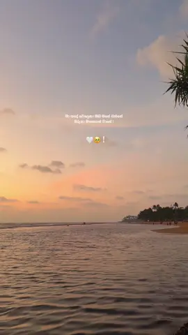 ඔබ මගේ 🤍🥹! #flypシ #lovequotes #sinhalaquotes #foryourpage #whatsappstatus 