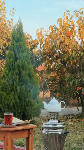 Sənə çatsın ürəyimdəki sözlərim…