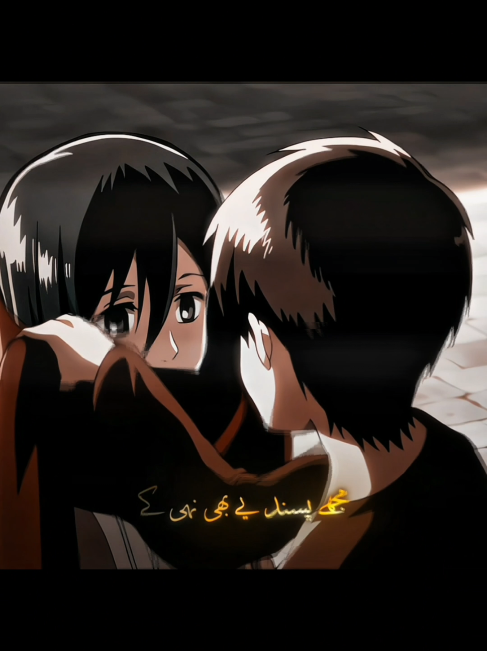 I'm Very Passive 🥀🍷❤️ . . . . . foryoupage #fypシ゚viral #support_me  #eremika #aladdinpoetry