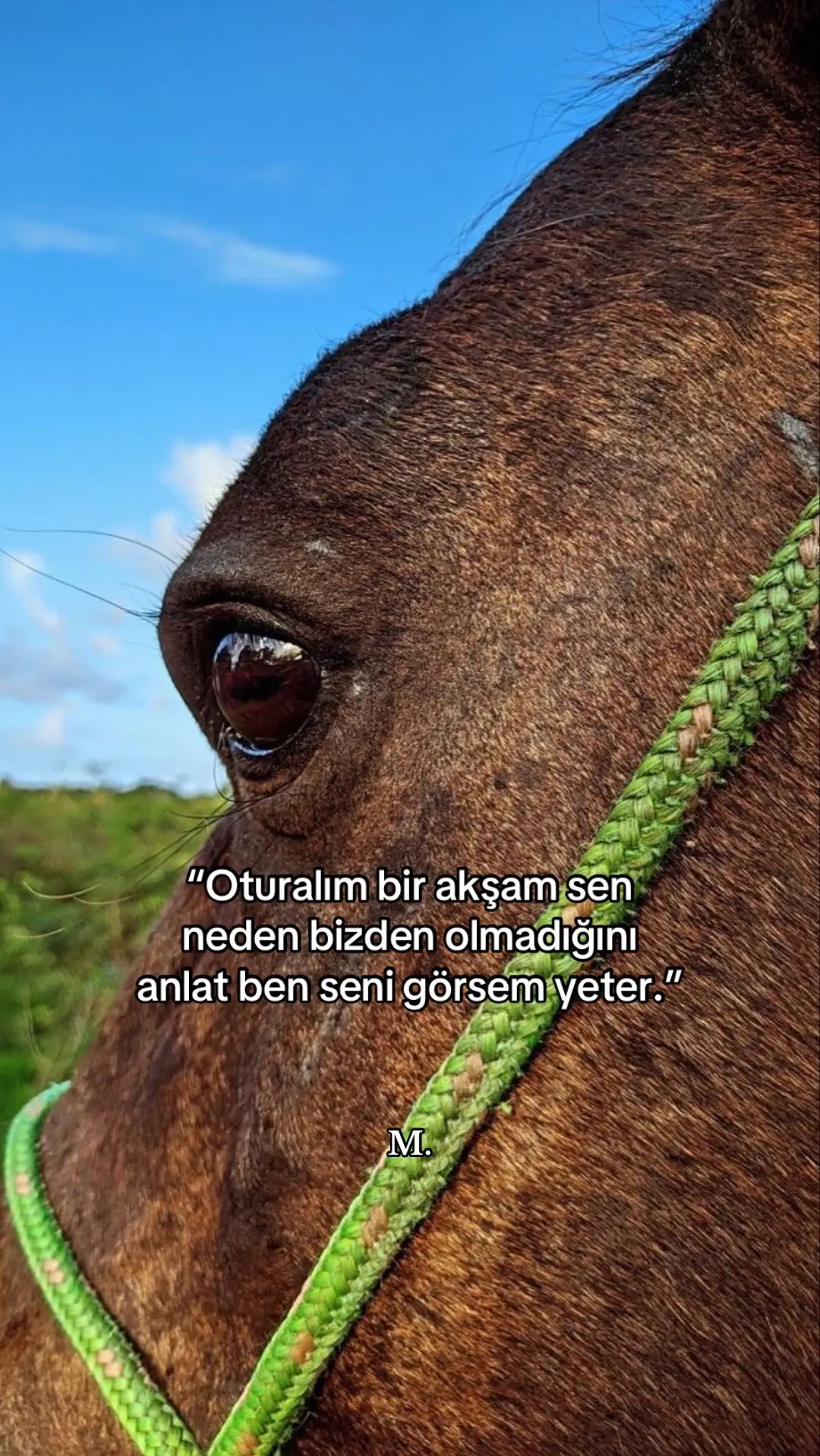 #fy #keşfet #fypage #keşfetduası🤲🏻🧕🏻lütfentutsun #kesfetteyizzzzz 