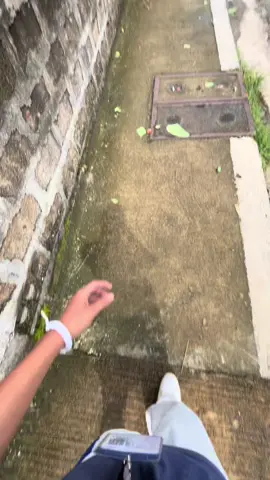 late is better than absent #absent #late #schoollife 