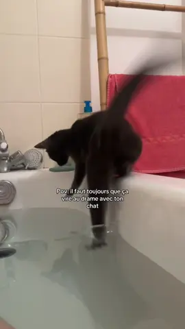 ⚠️⚠️Update de la vidéo: vous pensez que je crie par plaisir ? C'est la peur qui a pris le dessus, c'est purement humain ce genre de réaction auprès des gens qui comptent pr nous ! Juste après je l'ai prise dans mes bras pour la réconforter si ça vous intéresse !!