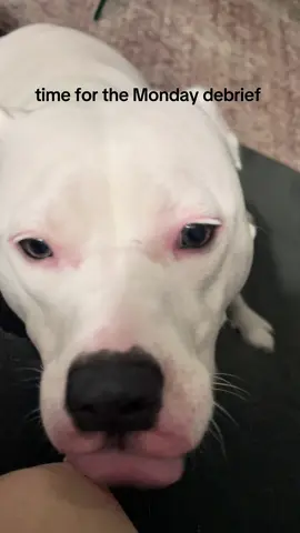 Very important updates today folks