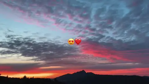 #liveincentiveprogram #😻 #paidpartnership #liverpool #livewithlessfollowers 