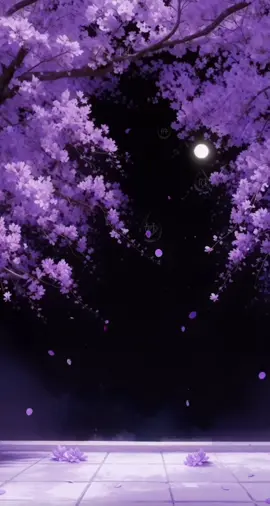 Thêm một chiếc lớp phủ màu tím nữa #nhuhoanhutranh #nhưhoanhưtranh #muacotrang #múacổtrang #muacotrangtrungquoc 