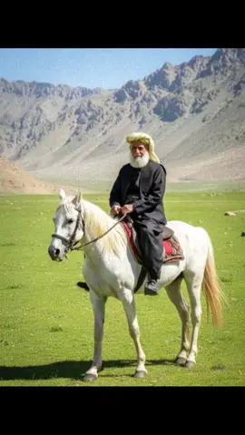 دڵ تـــەنـــگـــم و دیـــداری تـــۆ دەرمـــانـــے مـــنـــە بــــێ دیــــتـــنــــے ڕوت زەمــــانە زیـــنــدانـــے مـــنـــە..🥀💔 مەولانــــــا♡ اللهم صل علی سیدنا محمد وعلی آل سیدنا محمد💚 ♡ #حەزرەتی_کاک_احمدی_شێخ  ♡ #شێخ_عثمان_سراج_الدین  ♡ #الشیخ_عبدالقادرجیلاني  ♡ #علي_بن_ابي_طالب  ♡ #تەریقەت_قادری_نەقشبەندی_ریفاعی_سۆڵەیی 