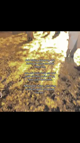 Anh không giống họ, anh không ép buộc em phải chọn anh, anh chỉ muốn thấy em tươi cười và hạnh phúc với lựa chọn của chính mình. Nhưng nếu được, anh cũng muốn là người trong lòng của em.