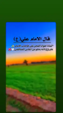 #أقوال_الأمام_علي_عليه_السلام  #اللهم_صل_على_محمد_وآل_محمد  #الامام_علي_بن_أبي_طالب_؏💙🔥 