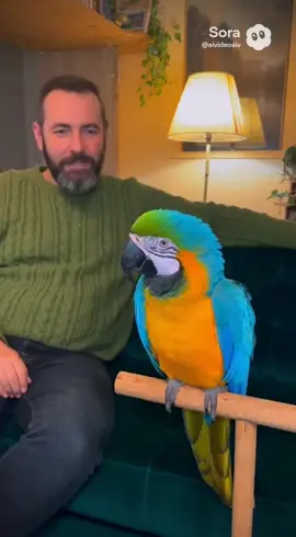 Попугай выучил стих Пушкина #soraai #рекомендации #приколы #recommendations #попугай 