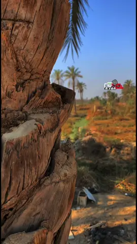 عباس الشويلي 📸  مرضني الكلت مايخيب بيكم💔#تصويري #تصويري_احترافي_الاجواء👌🏻🕊😴 #جواد الساعدي#اغاني #موال حزين