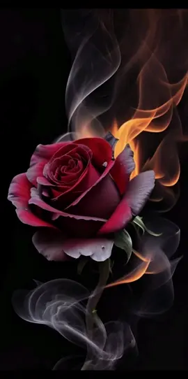 لا تطلبوا مني الهدوء ##حكم##خواطر##اقتباسات##حالات_واتس##اشرف_عيسى