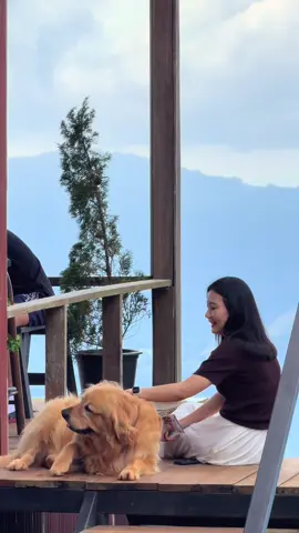 ลูกชายม่ะมี้ 🐶☁️#แคมป์ภูชี้ฟ้า #ที่พักภูชี้ฟ้า #คาเฟ่ภูชี้ฟ้า #ภูชี้ฟ้า #ที่พักใกล้ภูชี้ฟ้า 