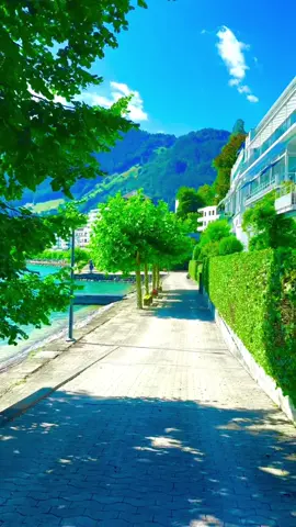 SWITZERLAND 🇨🇭🌳🍂⛰️🏡🌲🏔️🍁 #lauterbrunnen_switzerland🌸🍁 #rosenlaui_switzerland_rosenlaui🏔️ #luzern_switzerland___snow💕 #photographytricks❤️familytimes #switzerlandsnow✨ 