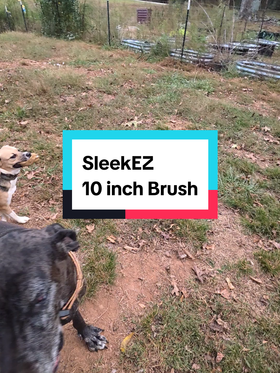 #shedding #petsupplies #horse #greatdane 