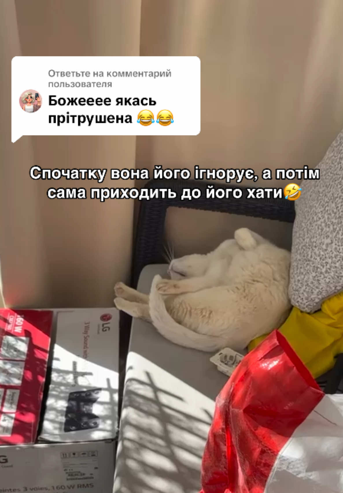 Ответ пользователю @svetlana.moment щоденник кота-укрїнця📓 #кітукраїнець #жизньвпортугалии 🇵🇹#иностранец #португалія #українці 🇺🇦