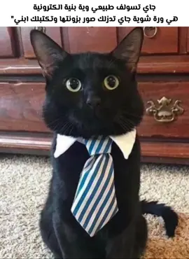 شنو السبب عود يعتبرونه ابنهن . #بزونة#fyp #viral #viralvideo #عراق