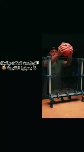 محمد مالك الكومديا ٢