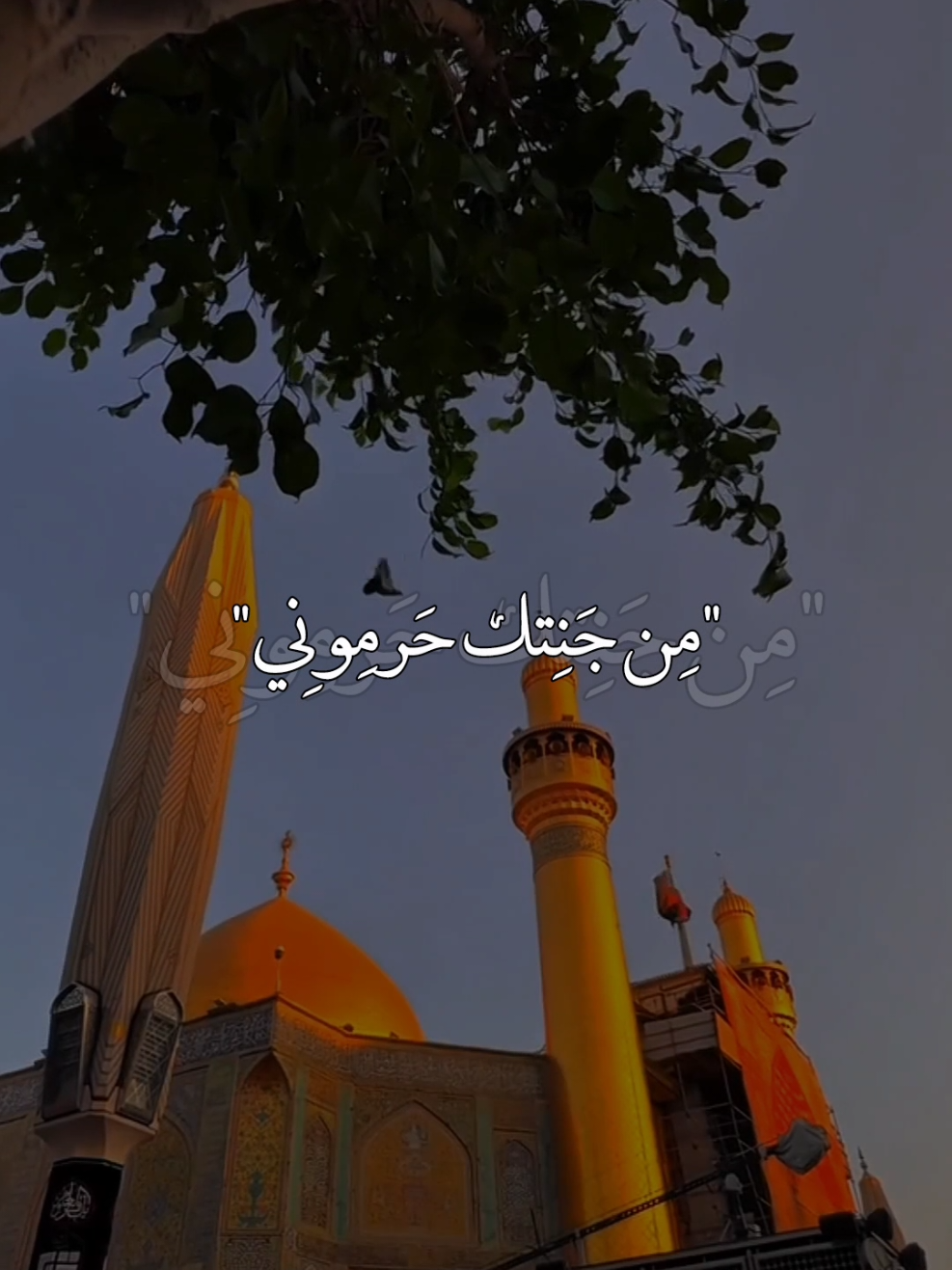 كل فكري يمك يا حيدر كل فكري يمك 🤍🤍🥺#السلام_عليك_يااميرالمومنيين_علي #الامام_علي_بن_أبي_طالب_؏💙🔥 #ياعلي_مولا_عَلَيہِ_السّلام #يــا_أبــا_الــفــضــل🦋💕 #اكسبلورexplore 