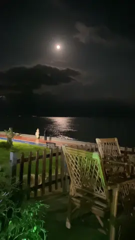 #explore #fyp #ليل #مرسين #نانسي 