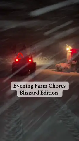 Yesterday Lake Michigan decided autumn was over and declared it is now officially winter. A total of 10+ inches of lake effect snow here in Michigan City, Indiana. More on the way this afternoon and into the night.  #farmchores #blizzard 