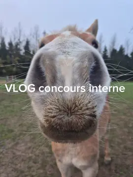 #CapCut #concoursinterne#cso#dianeetelodie#jumentenor @Centre équestre de jeumont 