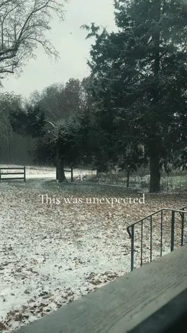 Leaves falling w the snow on November tenth #unexpected #indianaweathercheck #farmlife #fypシ゚viral 